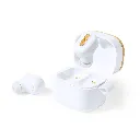 Auriculartempo6-1746028102.webp