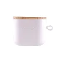 Auriculartempo3-1746028102.webp