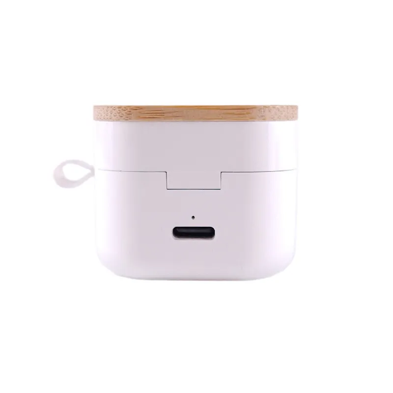 Auriculartempo1-1746028102.webp