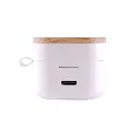 Auriculartempo1-1746028102.webp