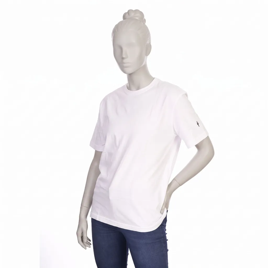 Gemini_Generated_Image_ean01aean01aean0.webp