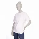 Gemini_Generated_Image_ean01aean01aean0.webp