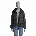 Gemini_Generated_Image_1gwdc41gwdc41gwd.webp