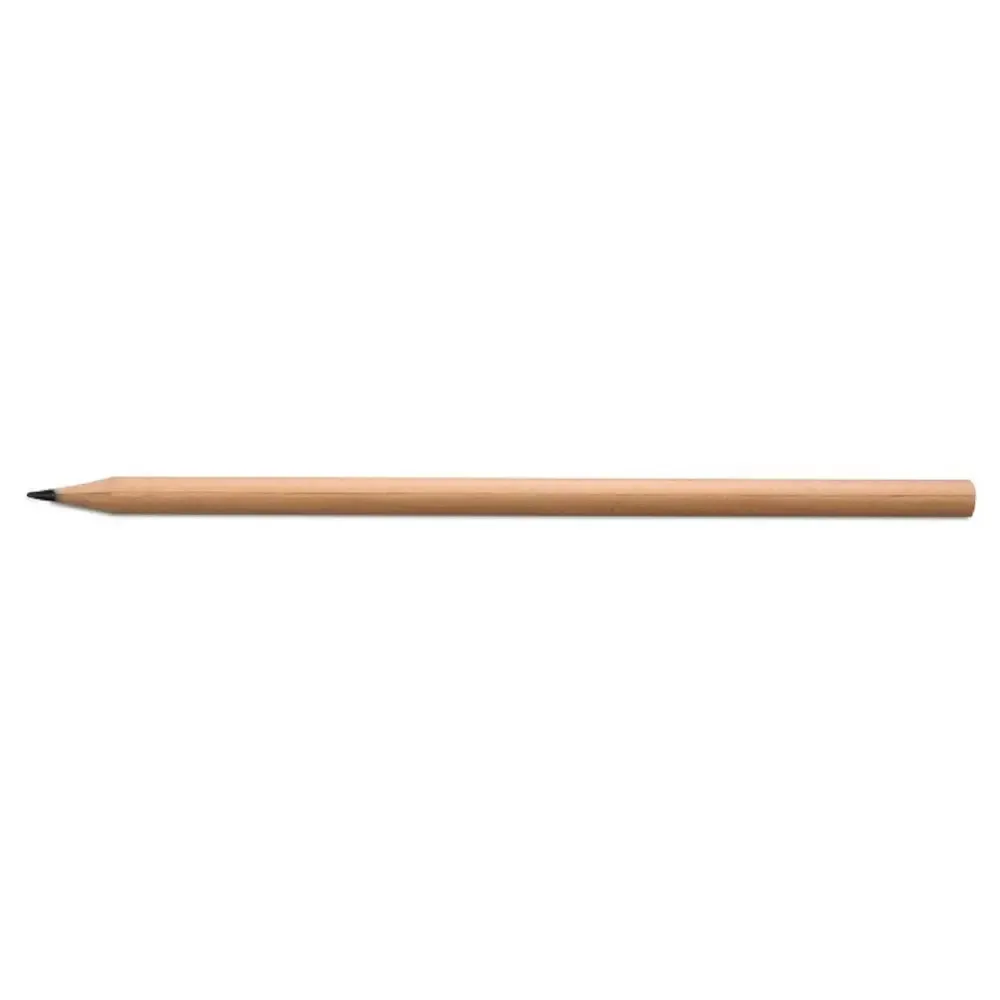 WP100.webp